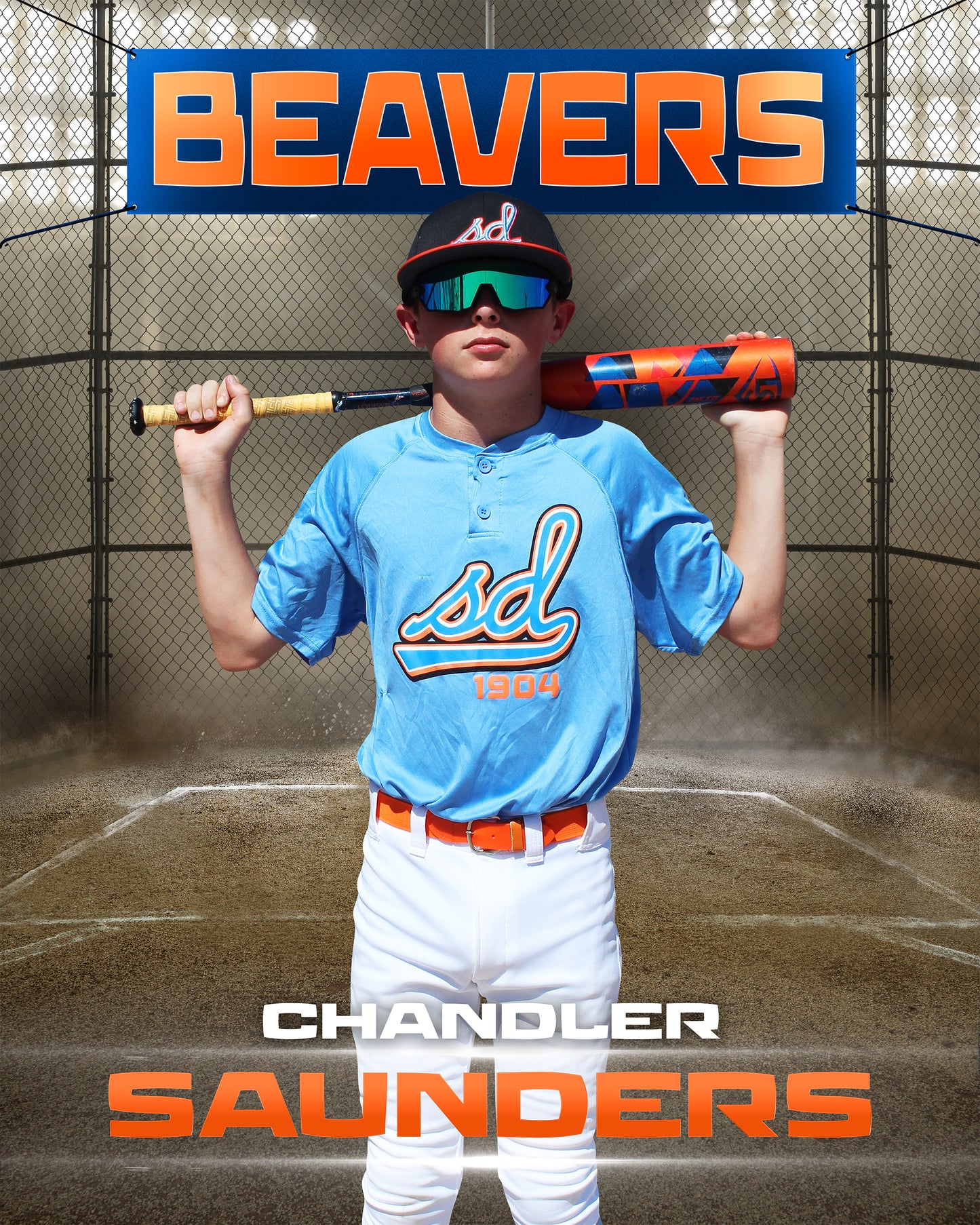 Fence Baseball Photo